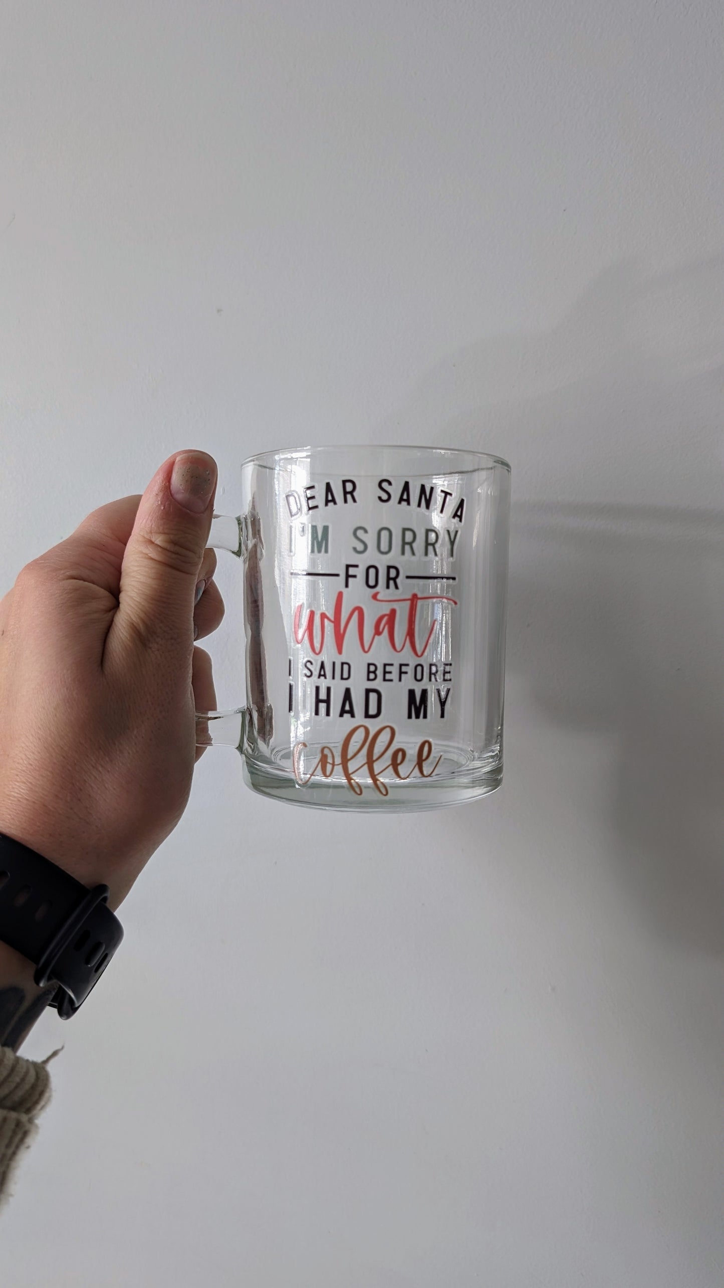 Dear Santa I'm Sorry